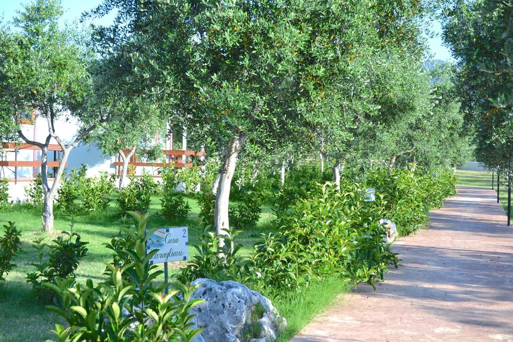 Agriturismo Antichi Ulivi Mattinata Exterior photo