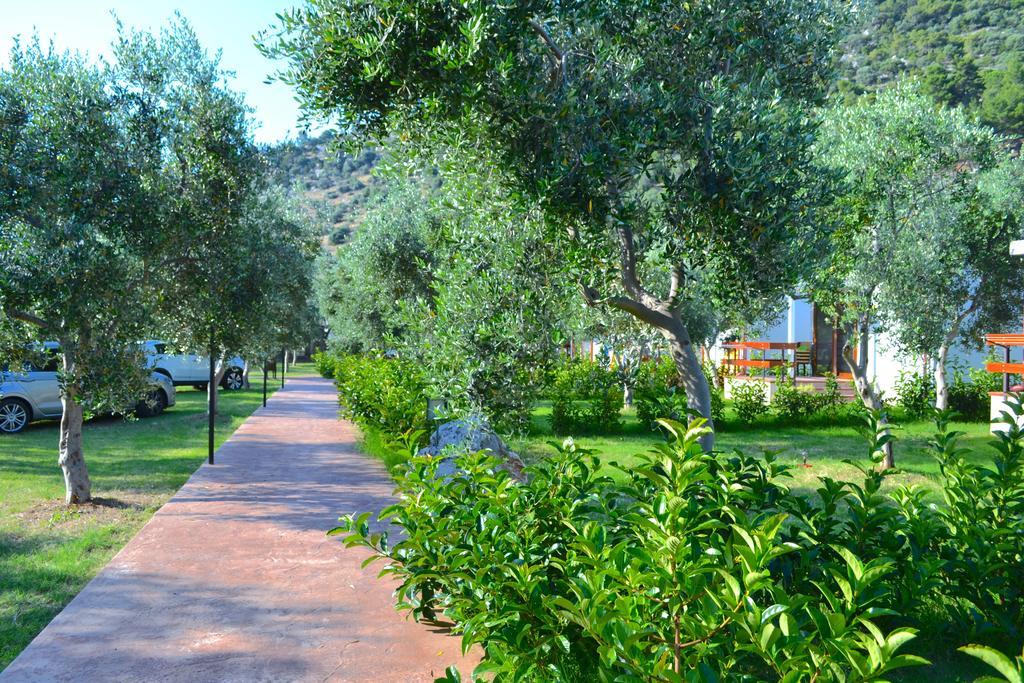 Agriturismo Antichi Ulivi Mattinata Exterior photo