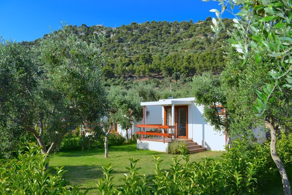 Agriturismo Antichi Ulivi Mattinata Exterior photo