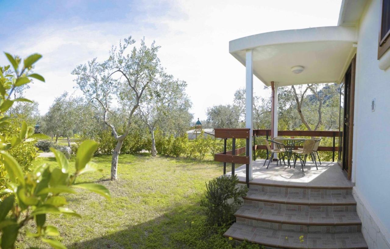 Agriturismo Antichi Ulivi Mattinata Exterior photo